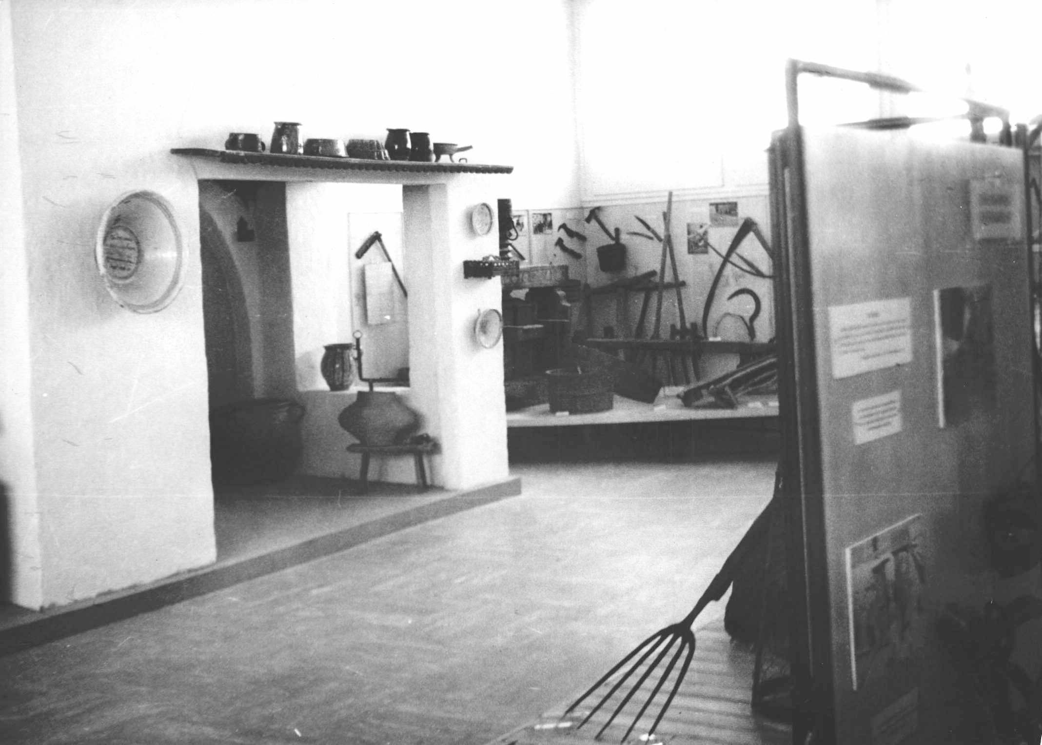 7. kép Velencei tavi életmódot bemutató dioráma.jpg