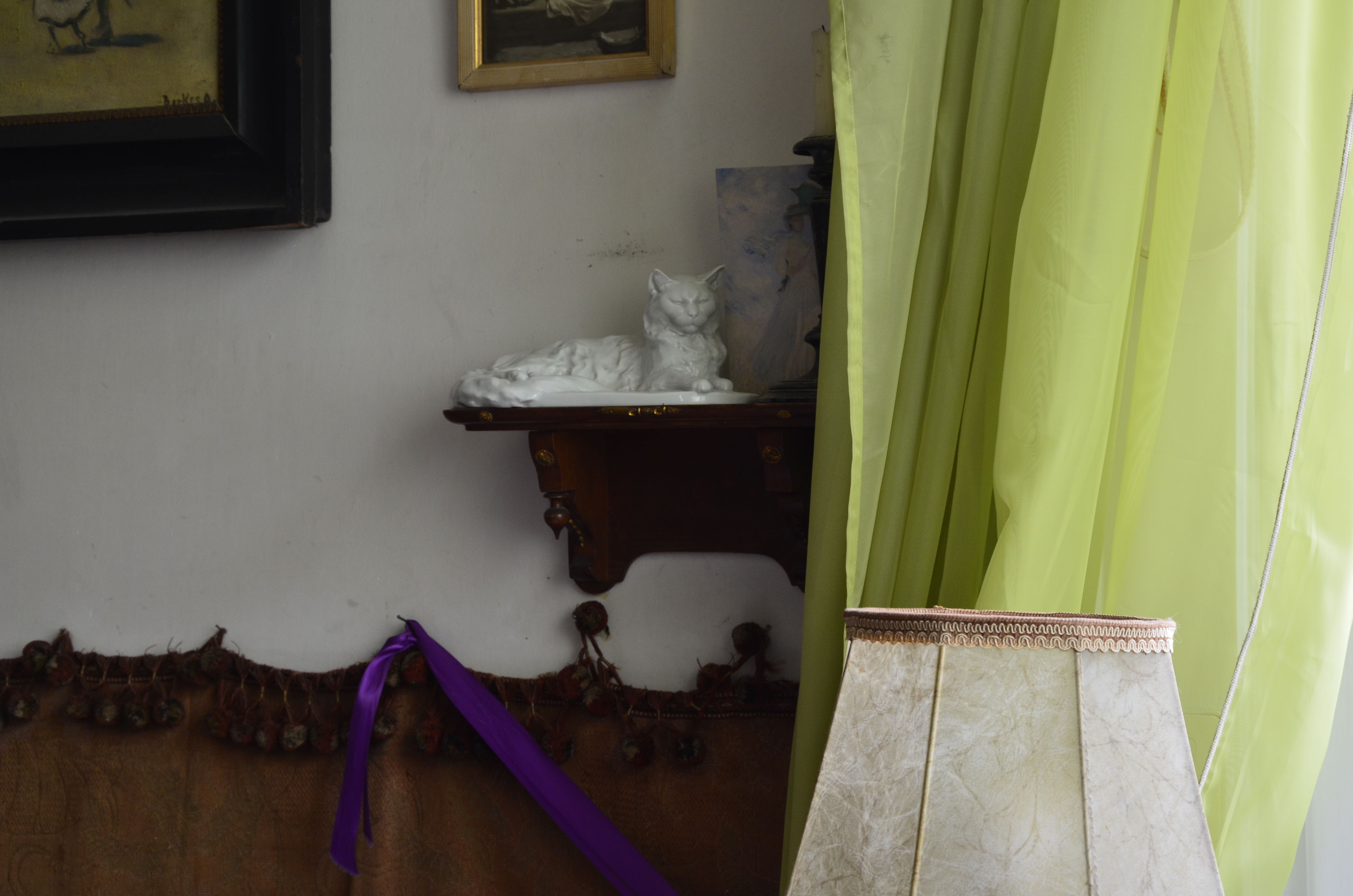 Az évtizedekig dobozban tartott macska, amit Fitz Jenő 1946 karácsonyán ajándékozott Éva asszonynak (Fotó: Farkas Ildikó)