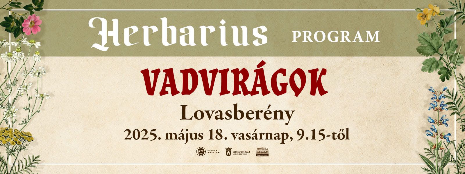 herbarius_túra_MAJUS_18_slide.jpg